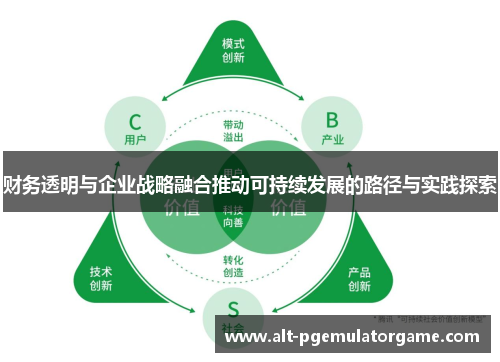 财务透明与企业战略融合推动可持续发展的路径与实践探索